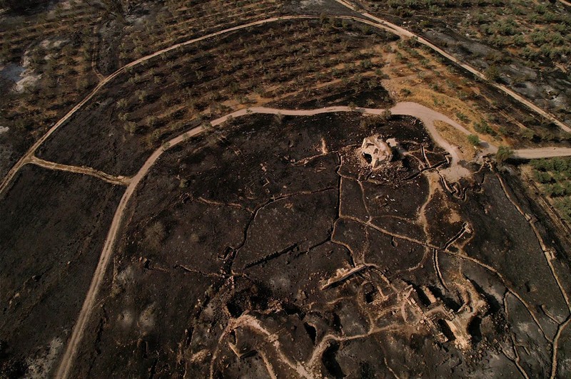 Seorang petugas pemadam kebakaran bekerja di dekat Latrun, sehari setelah kebakaran hutan terjadi akibat panas ekstrem dan angin, di Israel tengah, 1 Mei 2025. (REUTERS/Ammar Awad)