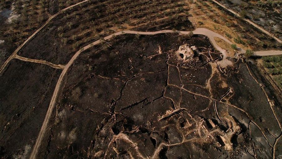 Seorang petugas pemadam kebakaran bekerja di dekat Latrun, sehari setelah kebakaran hutan terjadi akibat panas ekstrem dan angin, di Israel tengah, 1 Mei 2025. Seorang petugas pemadam kebakaran bekerja di dekat Latrun, sehari setelah kebakaran hutan terjadi akibat panas ekstrem dan angin, di Israel tengah, 1 Mei 2025. (REUTERS/Ammar Awad)