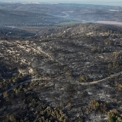 Penampakan Terkini Israel yang Hangus Digulung Kebakaran Terbesar