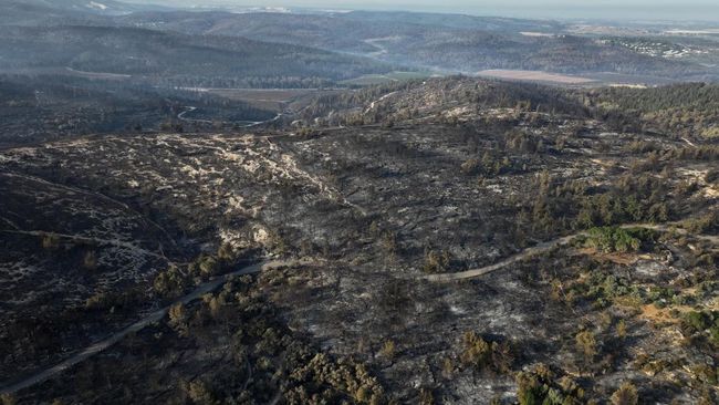 Penampakan Terkini Israel yang Hangus Digulung Kebakaran Terbesar