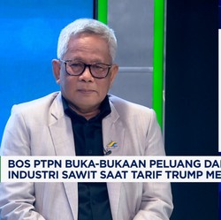 Video: Produksi Sawit RI Bisa 100 Juta Ton, Bos PTPN Ungkap Syaratnya!
