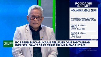 Video: Produksi Sawit RI Bisa 100 Juta Ton, Bos PTPN Ungkap Syaratnya!