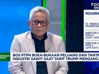 Video: Produksi Sawit RI Bisa 100 Juta Ton, Bos PTPN Ungkap Syaratnya!