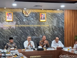 Koperasi Merah Putih Diklaim Untung Rp 1 M/Tahun, Bisa Bayar Utang Himbara