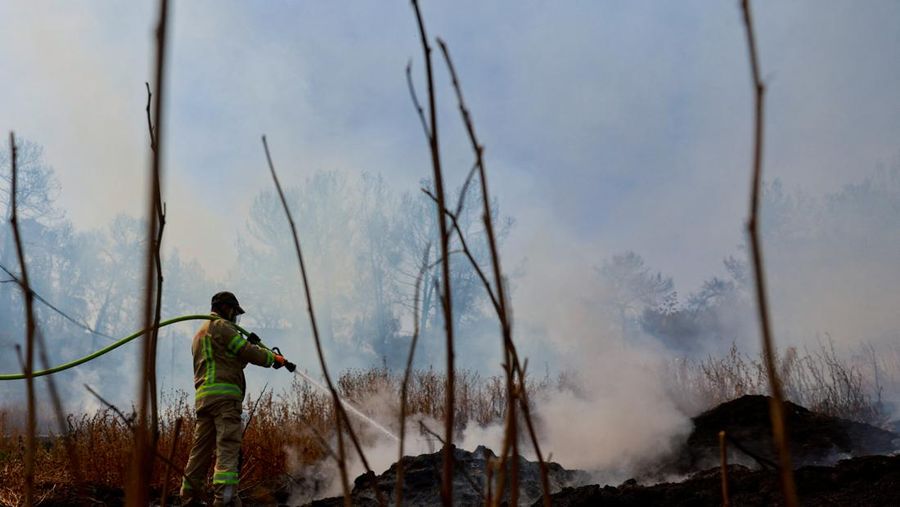 Seorang petugas pemadam kebakaran bekerja di dekat Latrun, sehari setelah kebakaran hutan terjadi akibat panas ekstrem dan angin, di Israel tengah, 1 Mei 2025. Seorang petugas pemadam kebakaran bekerja di dekat Latrun, sehari setelah kebakaran hutan terjadi akibat panas ekstrem dan angin, di Israel tengah, 1 Mei 2025. (REUTERS/Ammar Awad)
