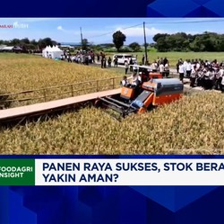 Video: Serapan Beras Bulog Cetak Rekor, Jamin Stok & Harga Beras Aman?