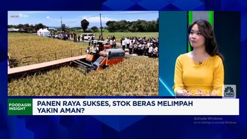 Video: Serapan Beras Bulog Cetak Rekor, Jamin Stok & Harga Beras Aman?