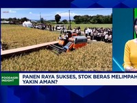 Video: Serapan Beras Bulog Cetak Rekor, Jamin Stok & Harga Beras Aman?