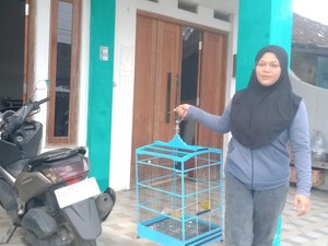 Apes Maling di Ceper Klaten Gagal Gasak Burung gegara Ditonjok Emak-emak