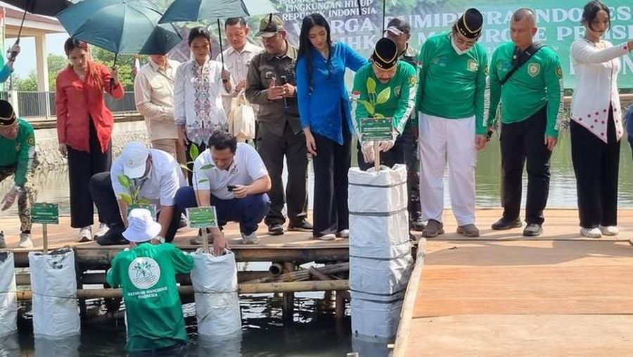 A. M. Hendropriyono, menanam pohon mangrove bersama Wamen Lingkungan Hidup, Diaz Hendropriyono, di Desa Tanjung Pasir, kawasan Teluk Naga, Kabupaten Tangerang, Banten. (Taufiq/detikcom)