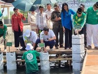 WBI dan Wamen Lingkungan Hidup Tanam 5 KM Mangrove di Teluk Naga
