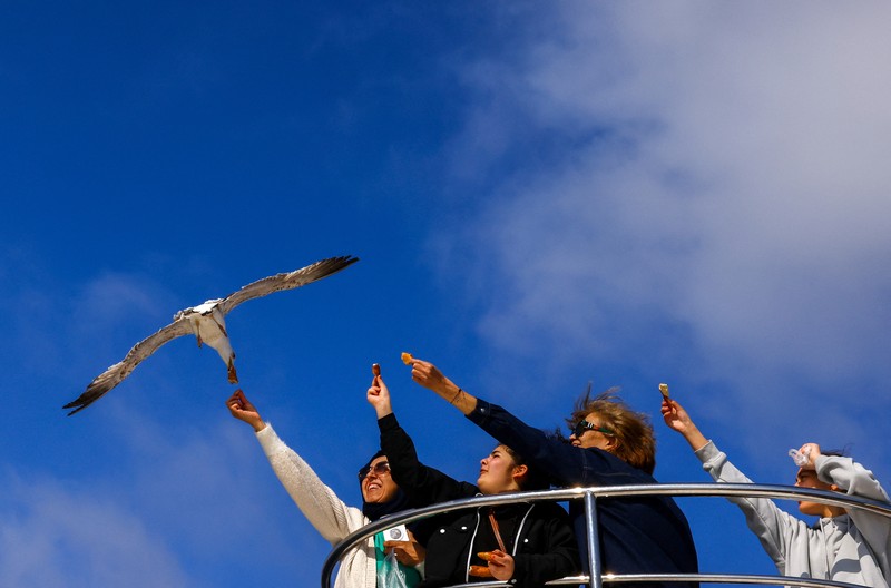 Orang-orang memberi makan burung camar saat mereka berlayar melalui Bosphorus dengan feri di Istanbul, Turki, 23 April 2025. (REUTERS/Umit Bektas)