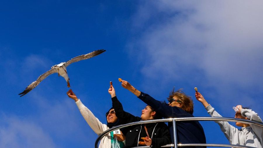 Orang-orang memberi makan burung camar saat mereka berlayar melalui Bosphorus dengan feri di Istanbul, Turki, 23 April 2025. (REUTERS/Umit Bektas)