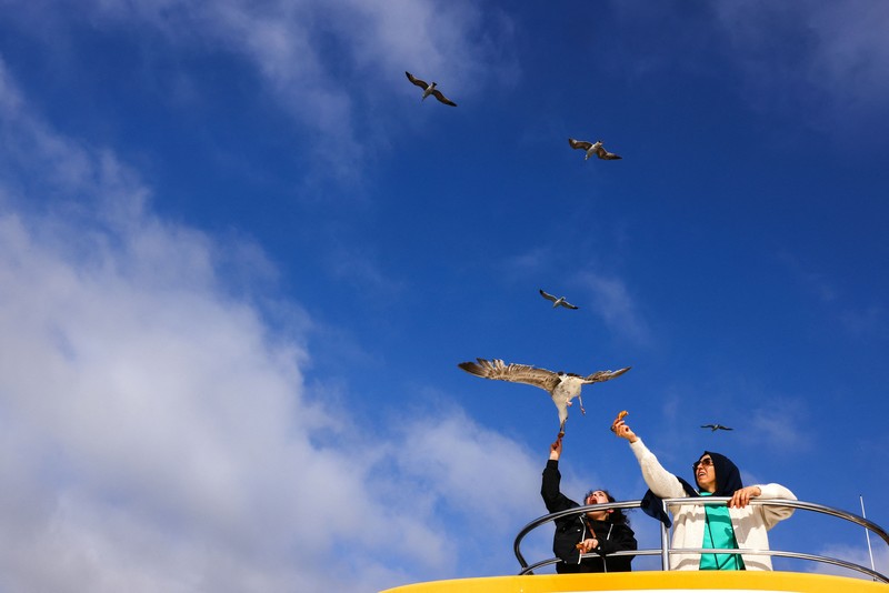 Orang-orang memberi makan burung camar saat mereka berlayar melalui Bosphorus dengan feri di Istanbul, Turki, 23 April 2025. (REUTERS/Umit Bektas)