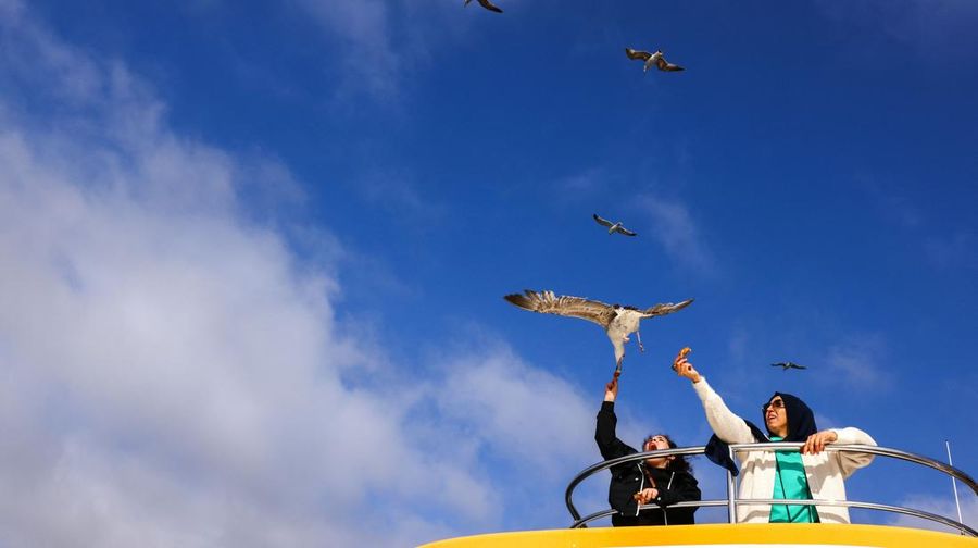 Orang-orang memberi makan burung camar saat mereka berlayar melalui Bosphorus dengan feri di Istanbul, Turki, 23 April 2025. (REUTERS/Umit Bektas)