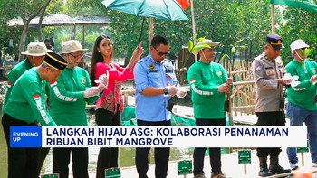 Video: Langkah Hijau ASG, Kolaborasi Penanaman RIbuan Bibit Mangrove