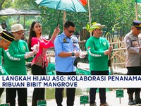 Video: Langkah Hijau ASG, Kolaborasi Penanaman RIbuan Bibit Mangrove