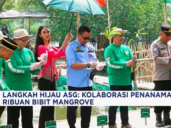 Video: Langkah Hijau ASG, Kolaborasi Penanaman RIbuan Bibit Mangrove