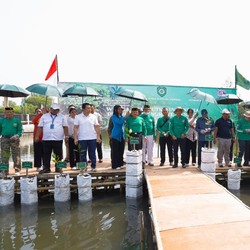 WBI Bersama Agung Sedayu Group Pulihkan Mangrove Pesisir
