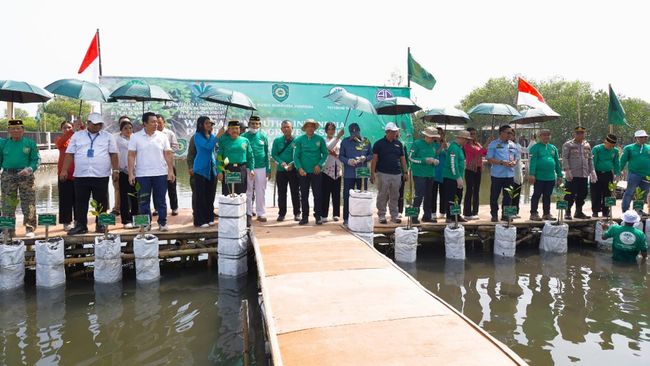 WBI Bersama Agung Sedayu Group Pulihkan Mangrove Pesisir