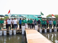 WBI Bersama Agung Sedayu Group Pulihkan Mangrove Pesisir
