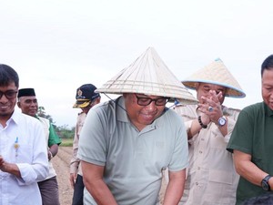 Pemkab Takalar Genjot Penanaman Jagung untuk Perkuat Ketahanan Pangan