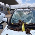 Video: Rudal Yaman Menghantam Bandara Israel, 8 Orang Terluka