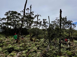 Jalur Pendakian Gunung Binaiya Akan Dibuka Jika Cuaca Kembali Normal