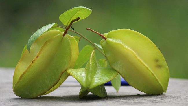 Ekspornya Melonjak 1.000%, Apa Istimewanya Belimbing Indonesia?