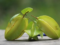 Ekspornya Melonjak 1.000%, Apa Istimewanya Belimbing Indonesia?