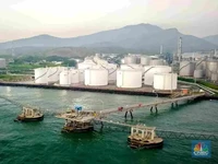 Emiten Prajogo Pangestu (TPIA) Bidik Dana Segar Rp1,5 T dari Obligasi