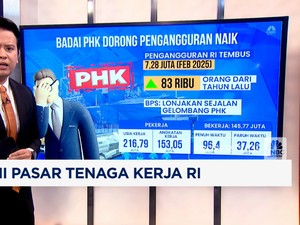Video: Ironi Pasar Tenaga Kerja RI
