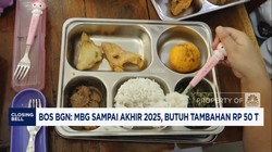 Video Bos BGN Ungkap MBG Butuh Tambahan Rp 50 T Sampai Akhir 2025