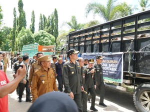 22.989 Hewan Ternak dari NTB Dikirim ke Luar Daerah, Semua Sehat
