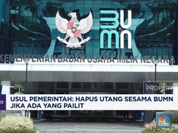 Video: Pemerintah Usul Hapus Utang Sesama BUMN Jika Ada yang Pailit