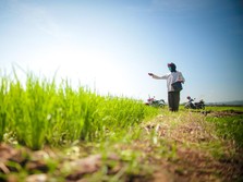 Hilirisasi Pertanian Kunci Kesejahteraan Petani