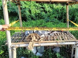 Geger, Bayi Masih Hidup Ditemukan di Atas Lapak Pedagang Durian di Bangli