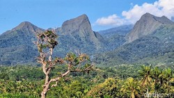 Risiko Kecelakaan Tinggi, Pendakian 3 Gunung di Bondowoso Dilarang