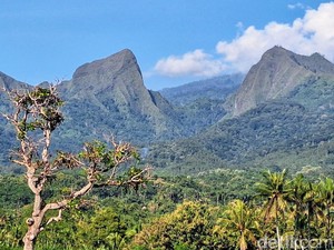 Pendakian 3 Gunung di Bondowoso Resmi Dilarang