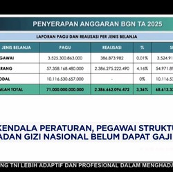 Video: Terkendala Aturan, Pegawai Struktural di BGN Belum Dapat Gaji
