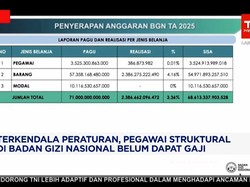 Video: Terkendala Aturan, Pegawai Struktural di BGN Belum Dapat Gaji