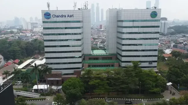 Terungkap, Danantara, INA dan TPIA Prajogo Garap Proyek US$ 800 Juta Ini