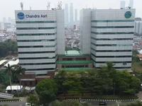 Terungkap, Danantara, INA & TPIA Prajogo Garap Proyek US$ 800 Juta Ini