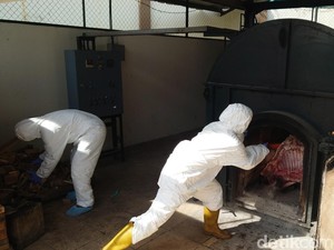 Daging Celeng 2,9 Ton Selundupan Lampung ke Palangka Raya Dimusnahkan