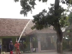 Serangan Ulat Bulu di SDN Menganto Jombang Terjadi Sejak 2024