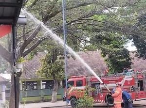 Ulat Bulu Serang SDN Menganto Jombang, 80 Siswa Gatal-gatal
