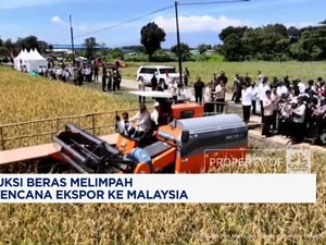 Video: Produksi Beras Melimpah RI Berencana Ekspor Ke Malaysia