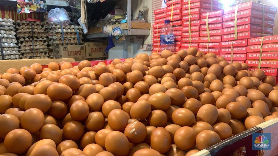 Suasana di Pasar Senen, Jakarta Pusat, Jumat (9/5/2025) masih terpantau lengang. Meski sebagian lapak tampak sepi, penjual telur dan sayur tetap melayani pelanggan setia yang belanja untuk stok bulanan. (CNBC Indonesia/Fergi Nadira)