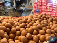 Bukan Bisulan! Ini Efek Kebanyakan Makan Telur