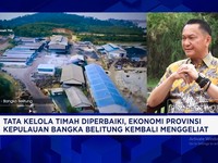 Video: Tata Kelola Timah Diperbaiki, Ekonomi Babel Kembali Menggeliat